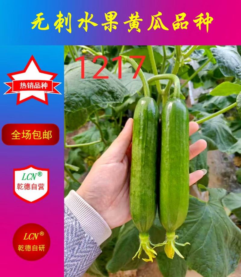 乾德1217水果黄瓜种子1000粒/袋无刺油亮口感好产量