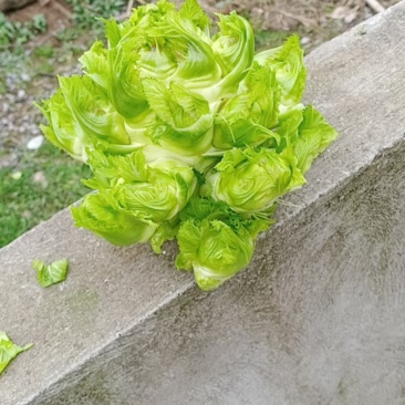 买货
