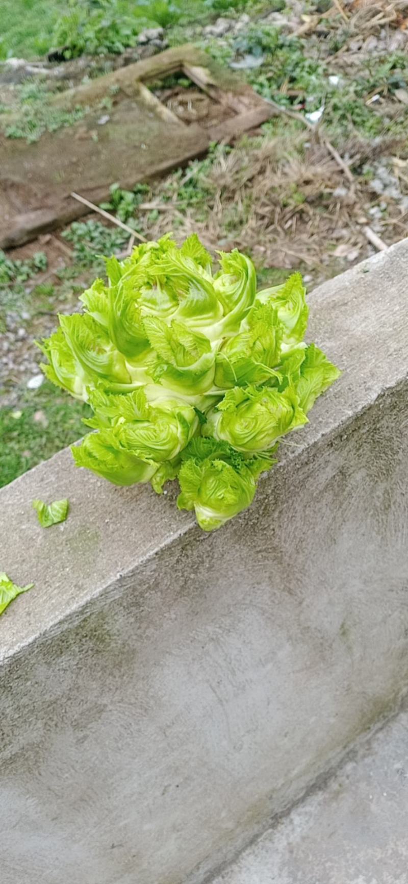 买货