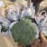 精品西蓝花小米粒,货源充足,产地直供!保质保量