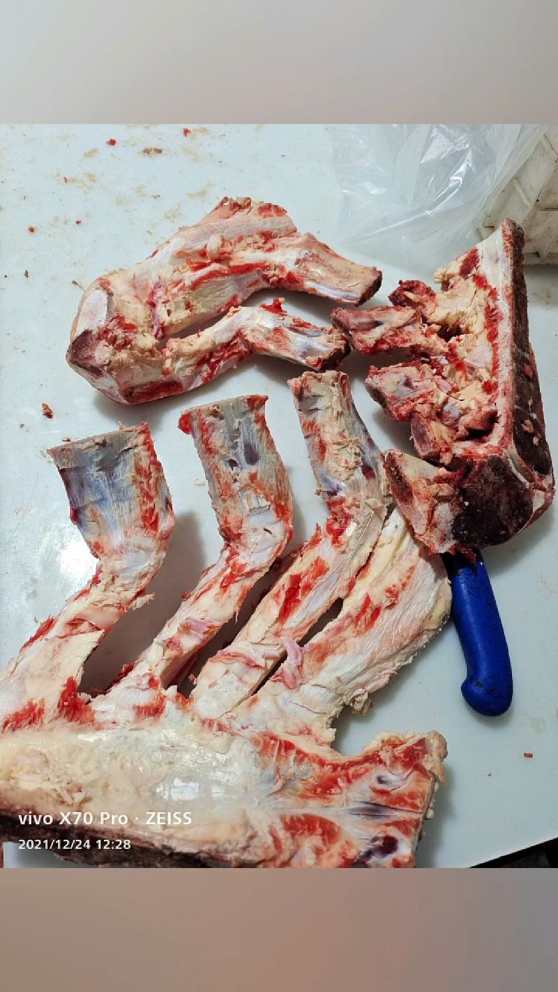 高钙牛骨剔肉牛胸骨价格便宜一手货源大量现货