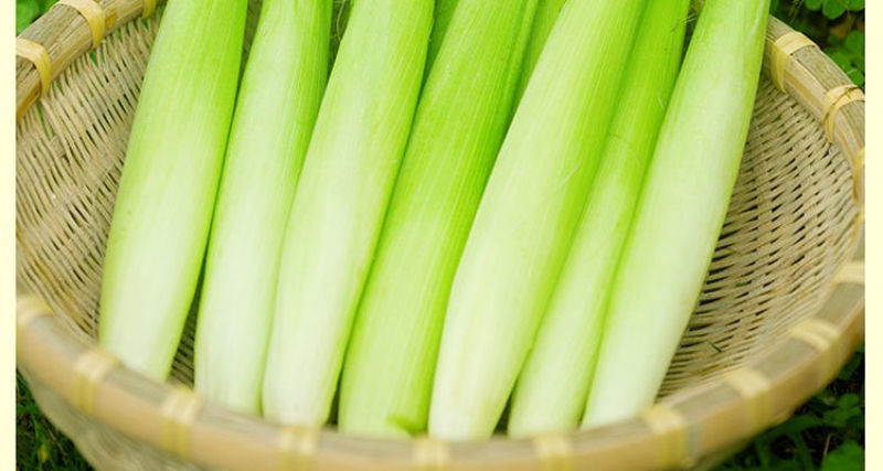 小玉米笋无农药新鲜蔬菜迷你玉米芯水果玉米棒籽现摘食材包邮