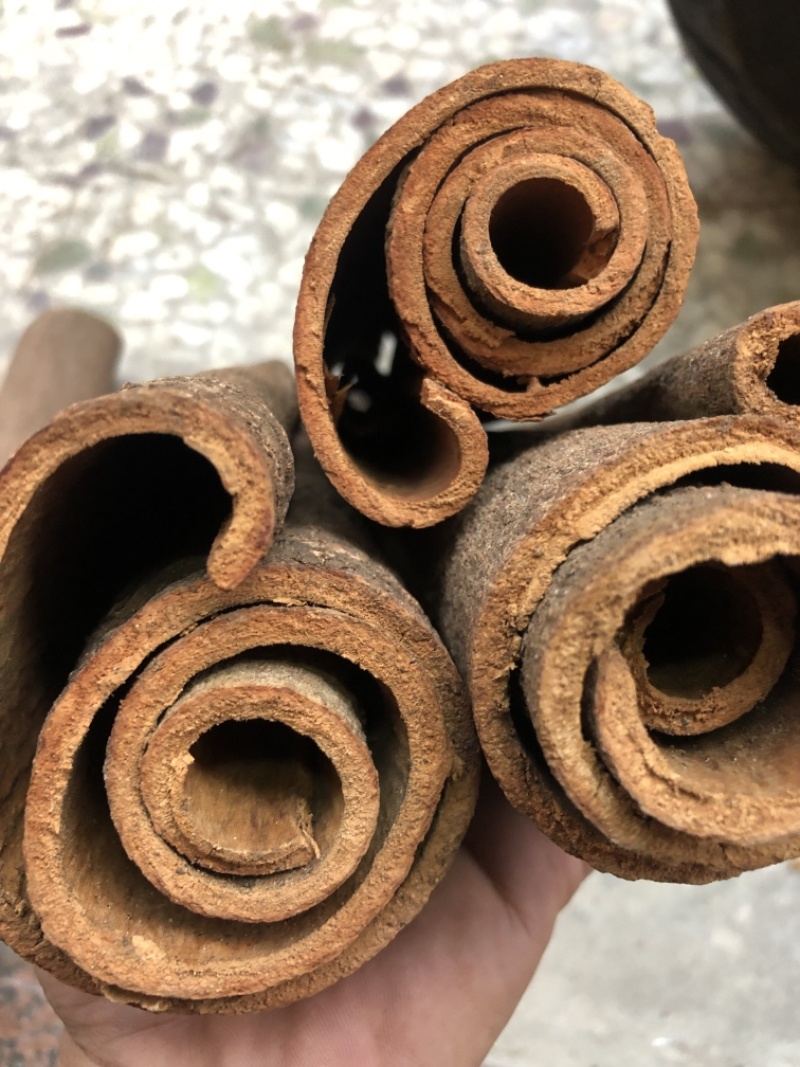 广西厚桂皮大通中通桂碎肉桂全干干净无粉末