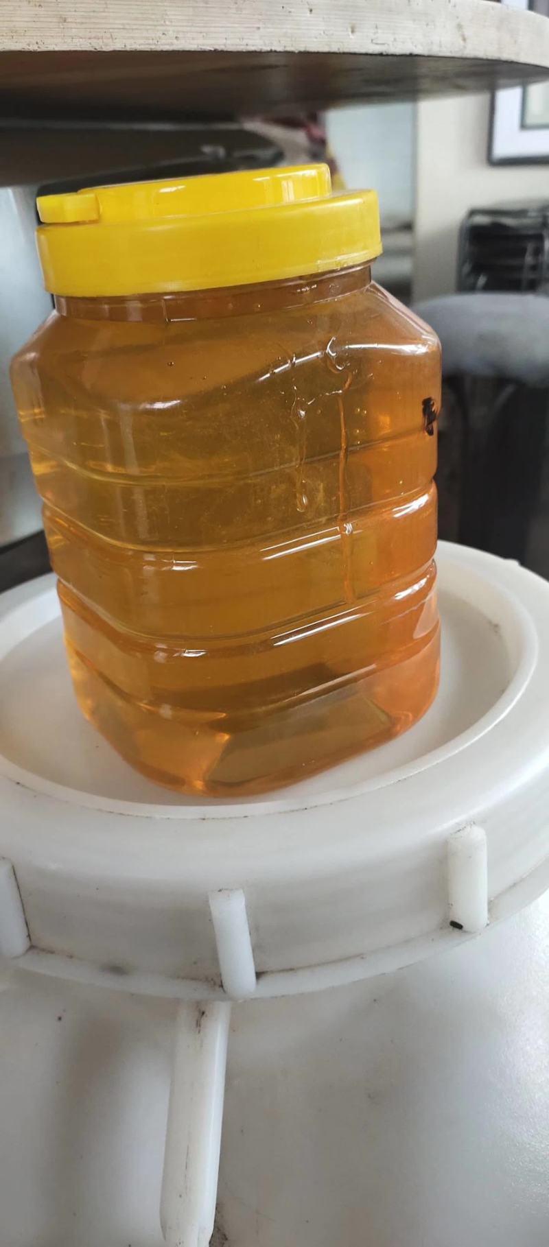 蜂蜜可以带你美丽蜂蜜可以带你信心。蜂蜜可以带你天天开心。