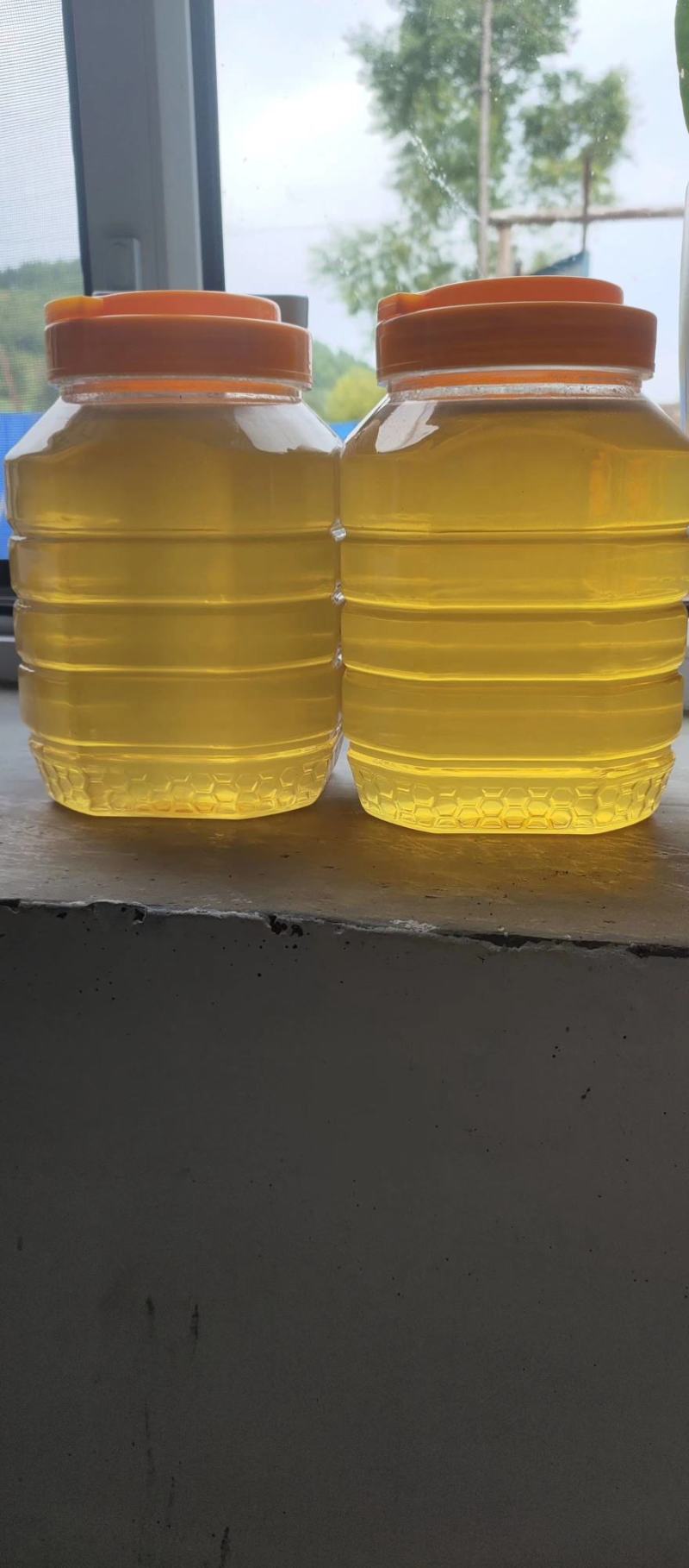 蜂蜜可以带你美丽蜂蜜可以带你信心。蜂蜜可以带你天天开心。