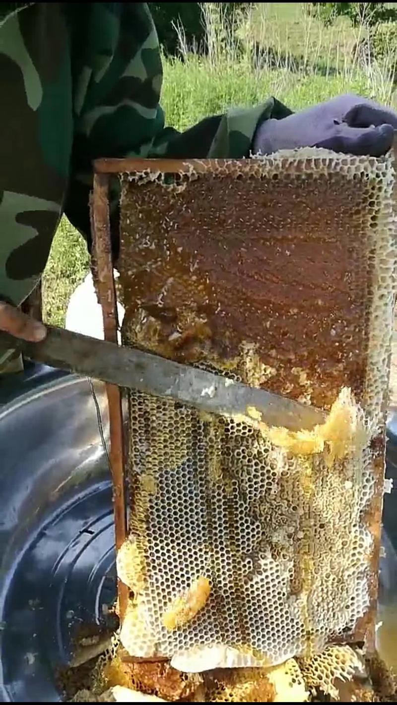 蜂蜜可以带你美丽蜂蜜可以带你信心。蜂蜜可以带你天天开心。