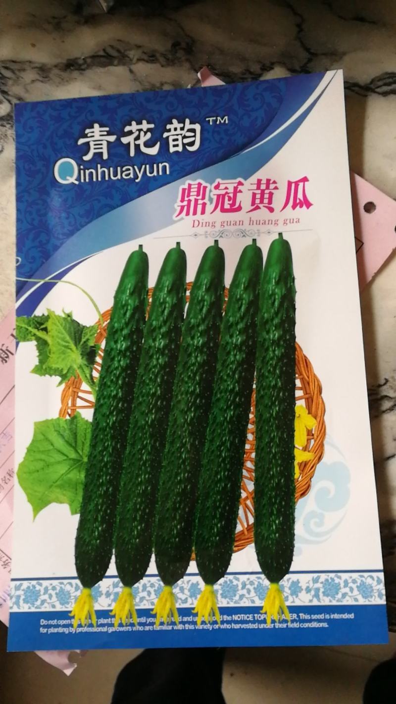 鼎冠黄瓜种子，早熟，瓜色深绿。