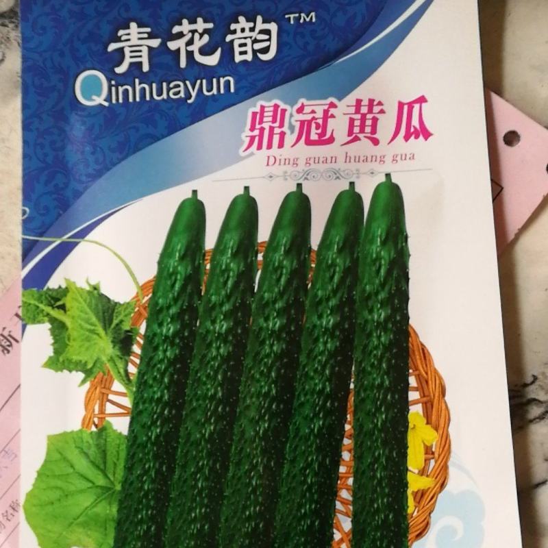 鼎冠黄瓜种子，早熟，瓜色深绿。