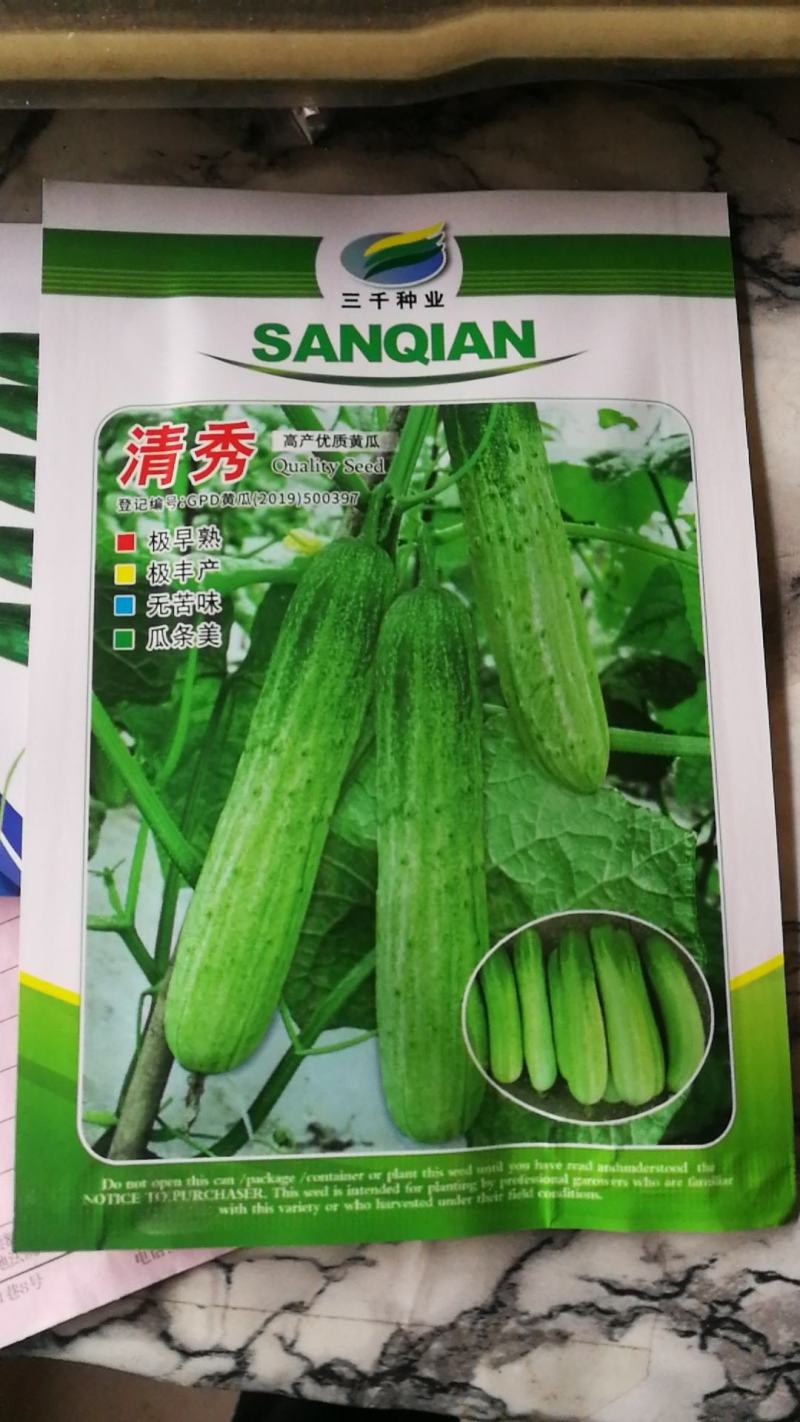 清秀黄瓜种子，早熟，无苦味，瓜条美，