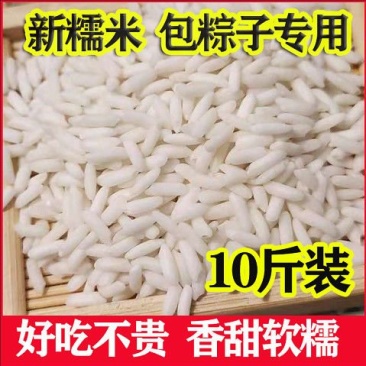 10斤长粒新糯米纯糯米批发包粽子糯米大糯米特价长粒圆粒