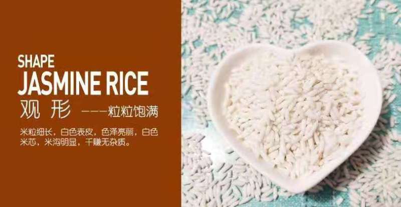 10斤长粒新糯米纯糯米批发包粽子糯米大糯米特价长粒圆粒