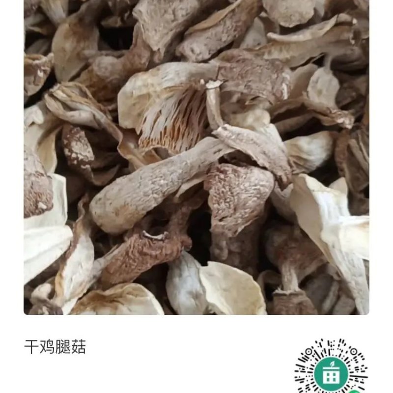 干鸡腿菇