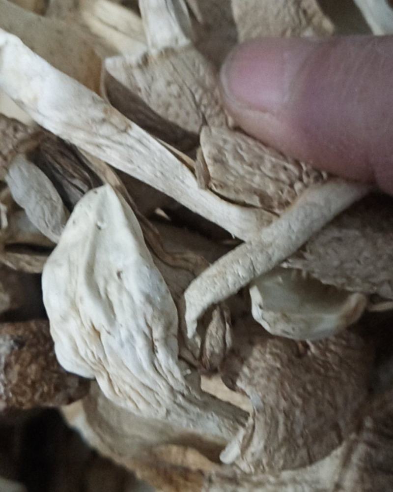 干鸡腿菇