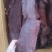 烟熏精品大块肉，牛肉风味大块，工厂直销地摊新模式