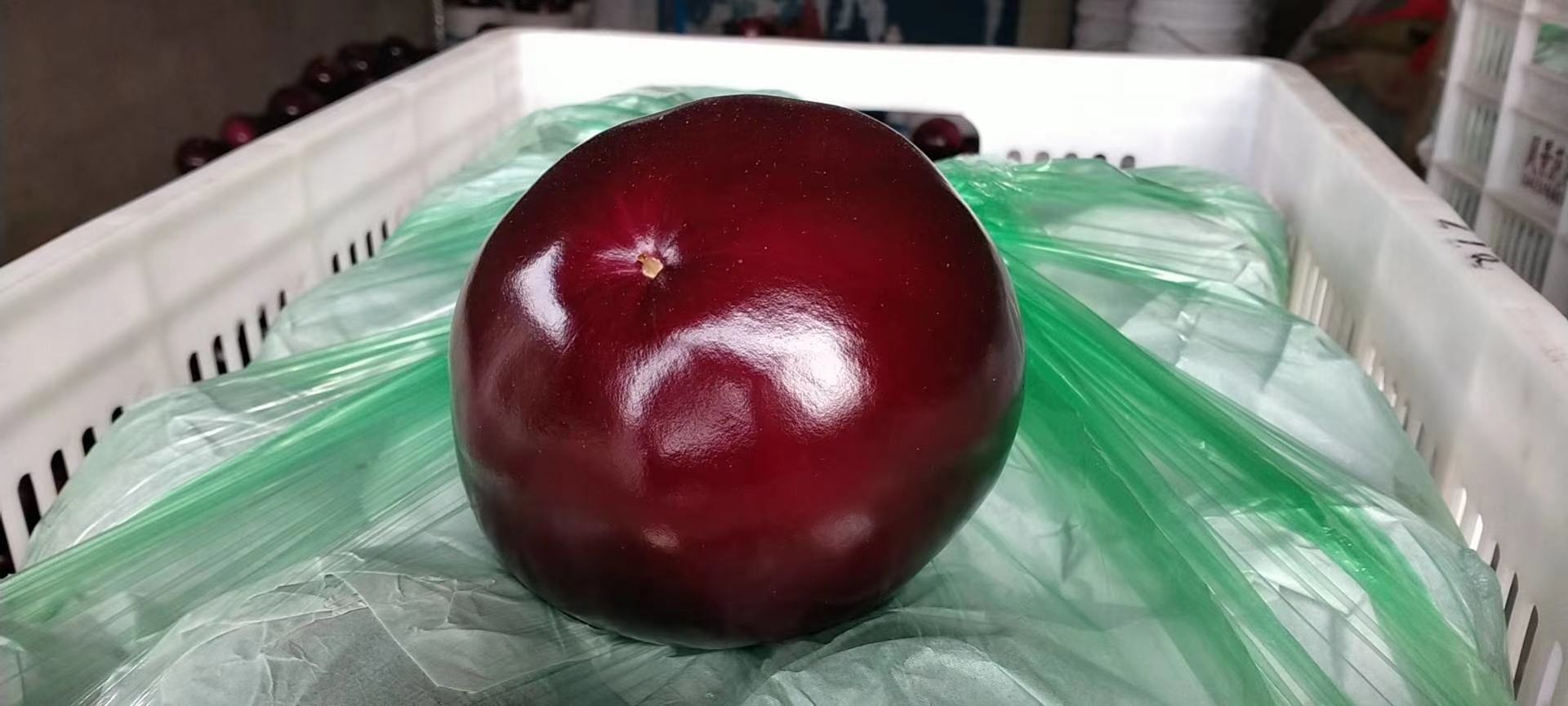紫光圆茄子在农贸市场摊位上的陈列展示