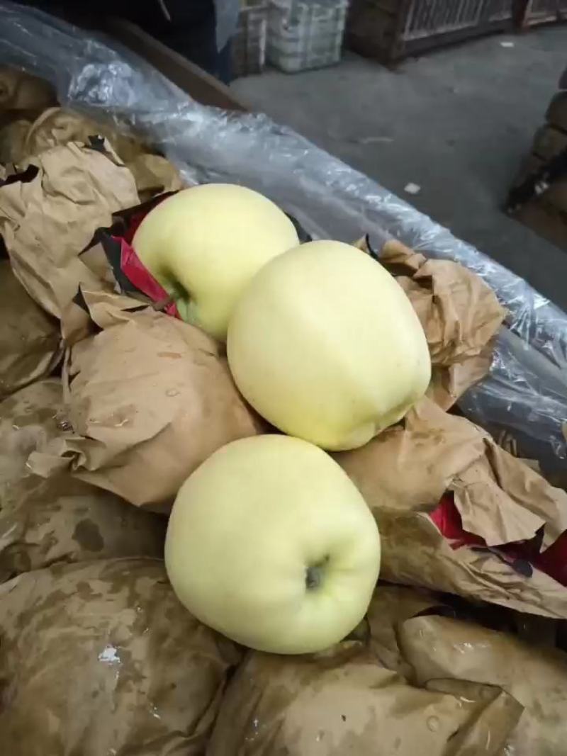 黄元帅苹果辽南特产皮薄脆甜表光亮，耐储存及运输一手货源