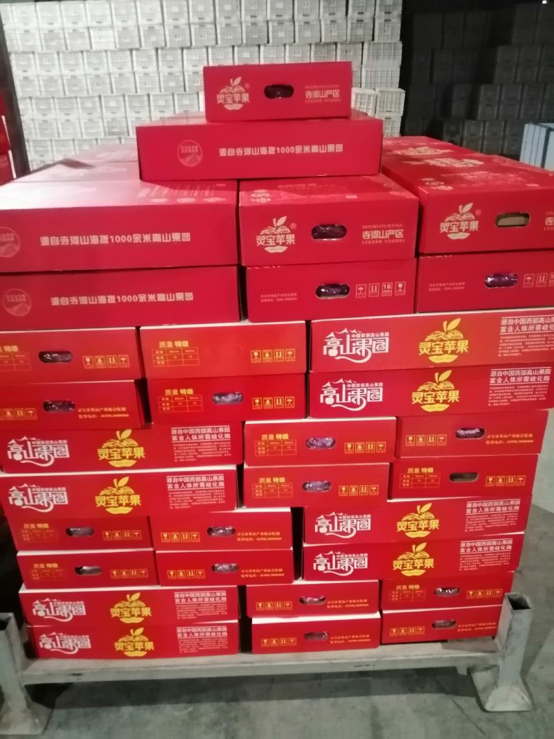 正宗灵宝寺河山纸袋红富士苹果