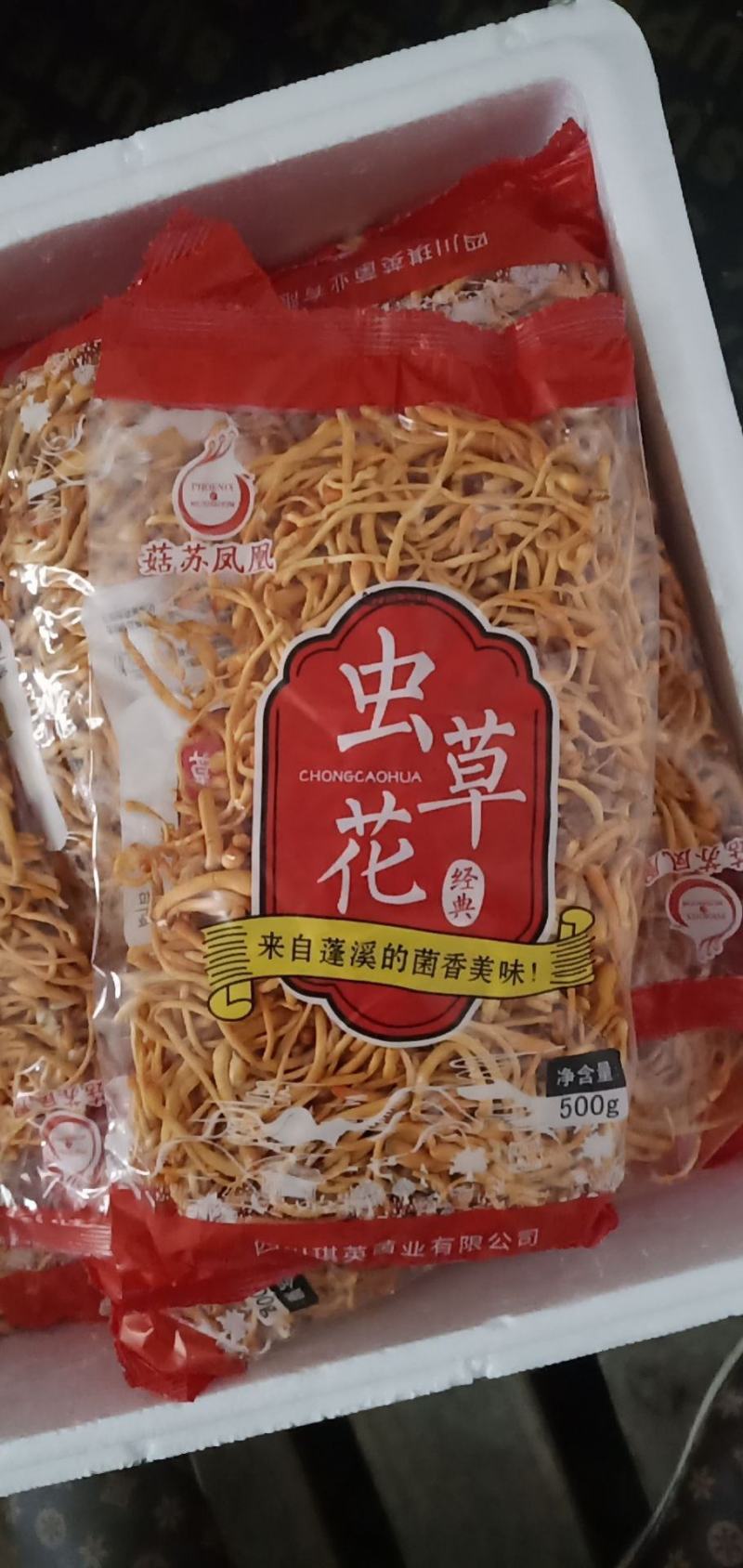 山东精品北虫草大量批发，保质保量，欢迎咨询联系