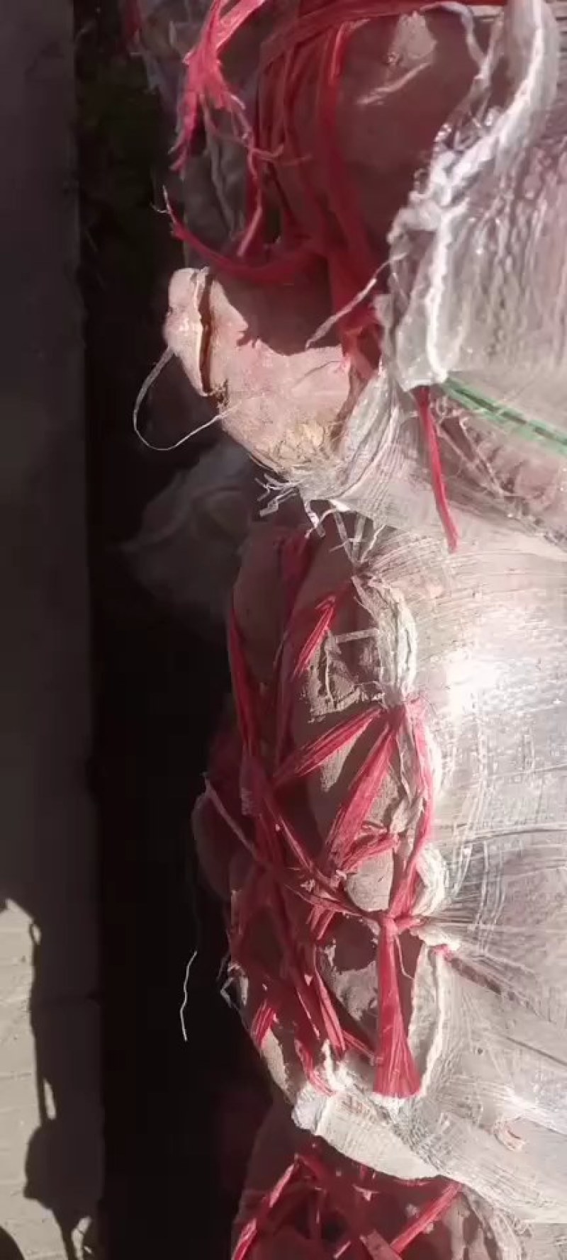 大量供应，产地直供，加工薯三两通货，产地支持各种包装