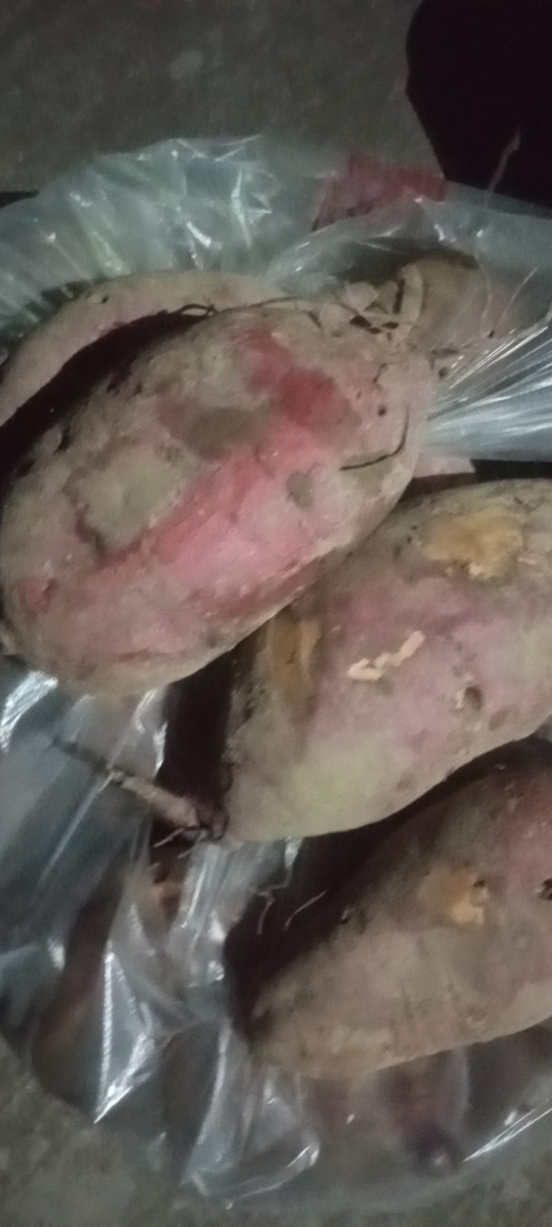 大量供应，产地直供，加工薯三两通货，产地支持各种包装