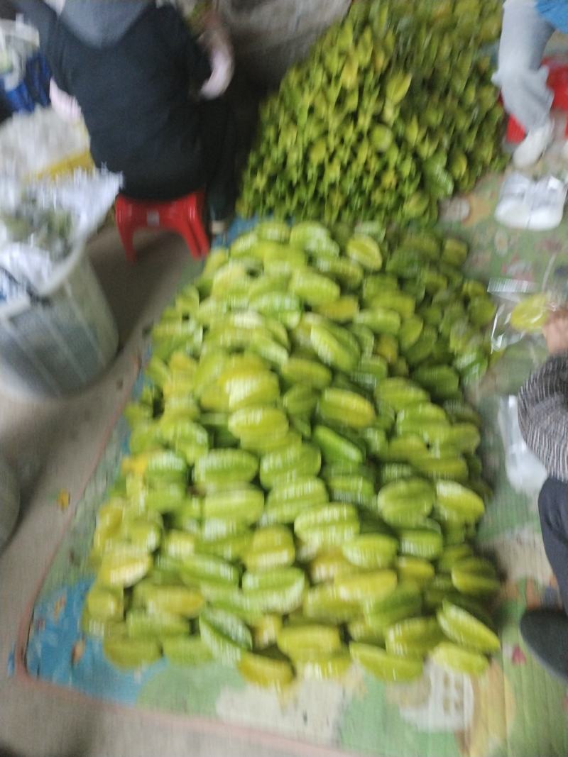 热带水果杨桃
