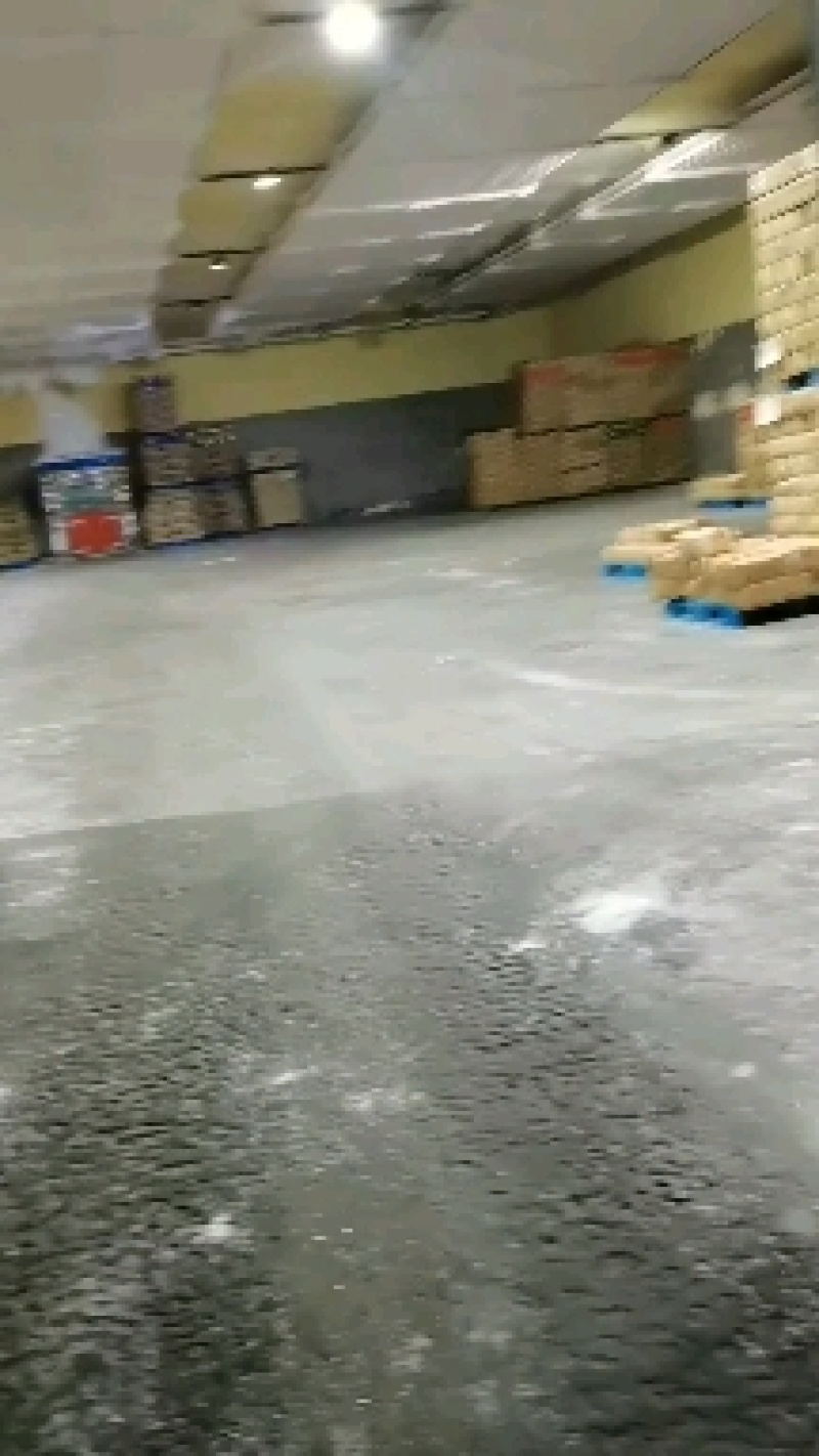 精品五花肉片调理品临沂提厂家直供量大从优
