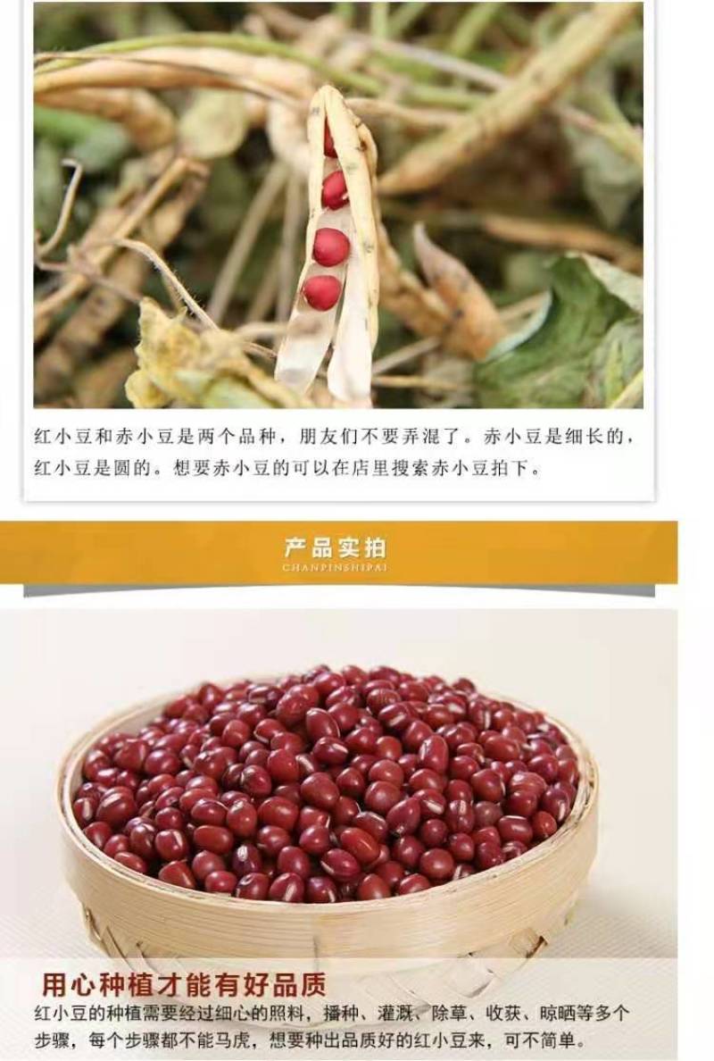 新货精品农家自产红豆出沙好红小豆新豆易煮烂五谷杂粮包邮
