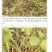 新货精品农家自产红豆出沙好红小豆新豆易煮烂五谷杂粮包邮