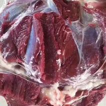 【梅花鹿肉鲜鹿肉】低脂新鲜鹿肉冷冻发货，5斤起邮。