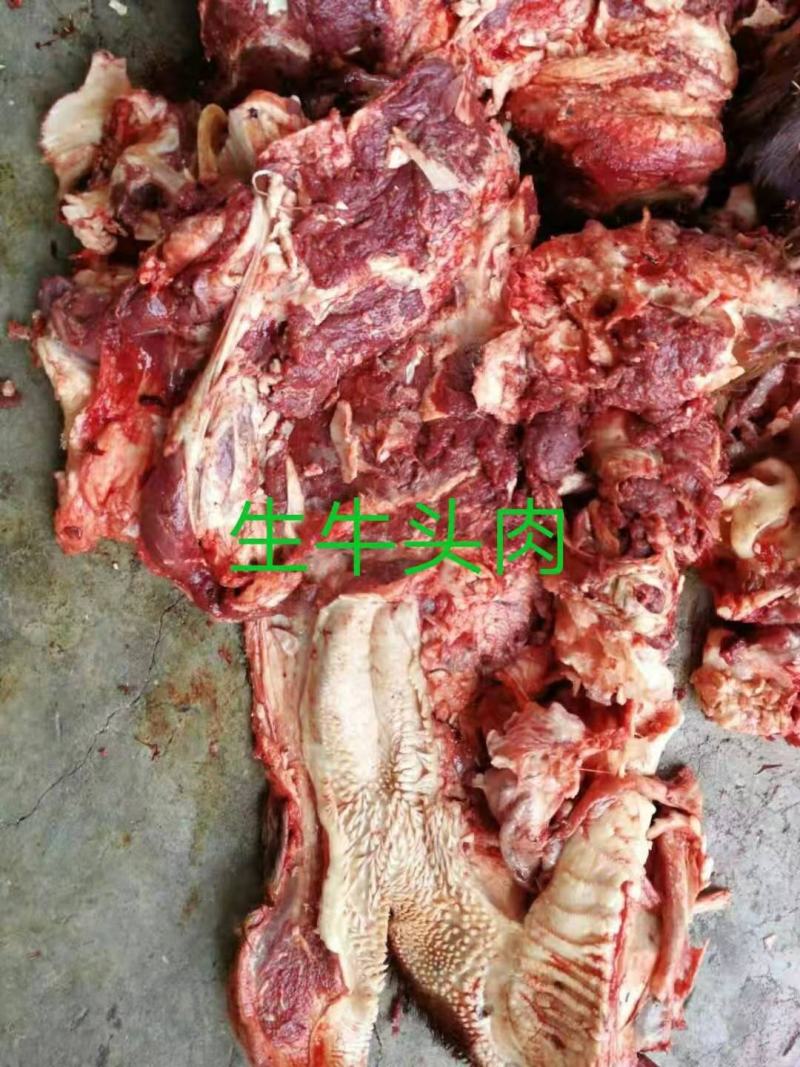 山东省阳信生牛头肉去皮去骨可煮酱，多少会有小骨头