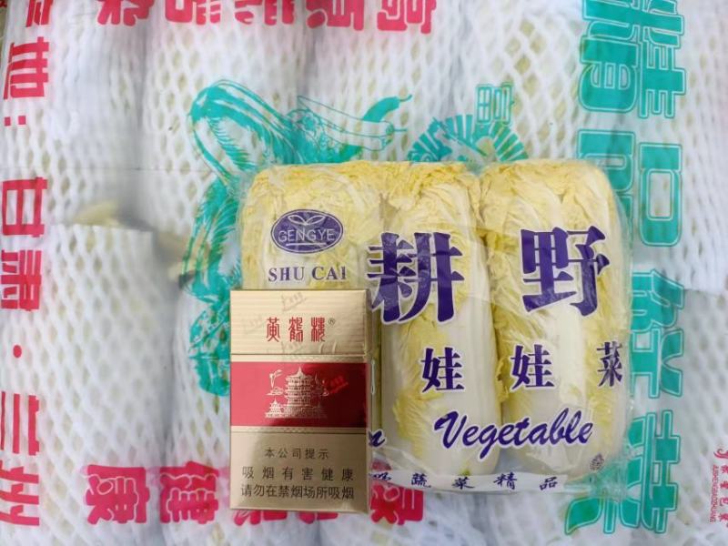 平台爆品基地小娃娃菜，大娃娃大量上市，日供量100吨