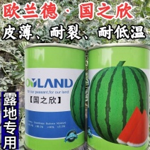 欧兰德国之欣西瓜种子超8424薄皮耐裂圆瓜京欣瓜麒麟瓜