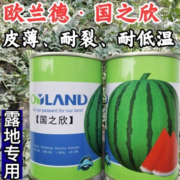 欧兰德国之欣西瓜种子超8424薄皮耐裂圆瓜京欣瓜麒麟瓜