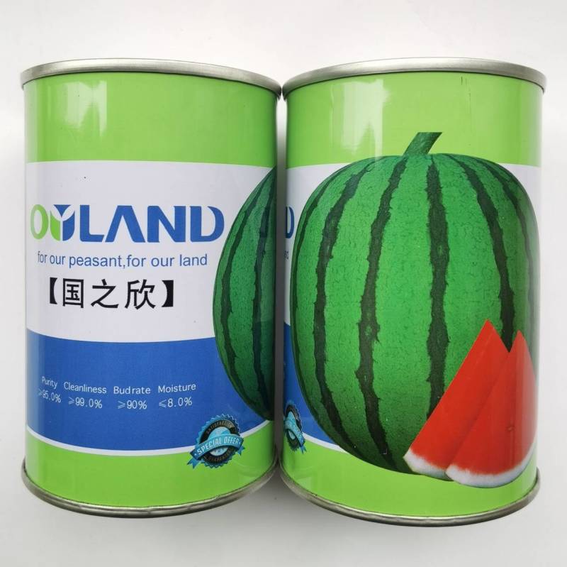 欧兰德国之欣西瓜种子超8424薄皮耐裂圆瓜京欣瓜麒麟瓜