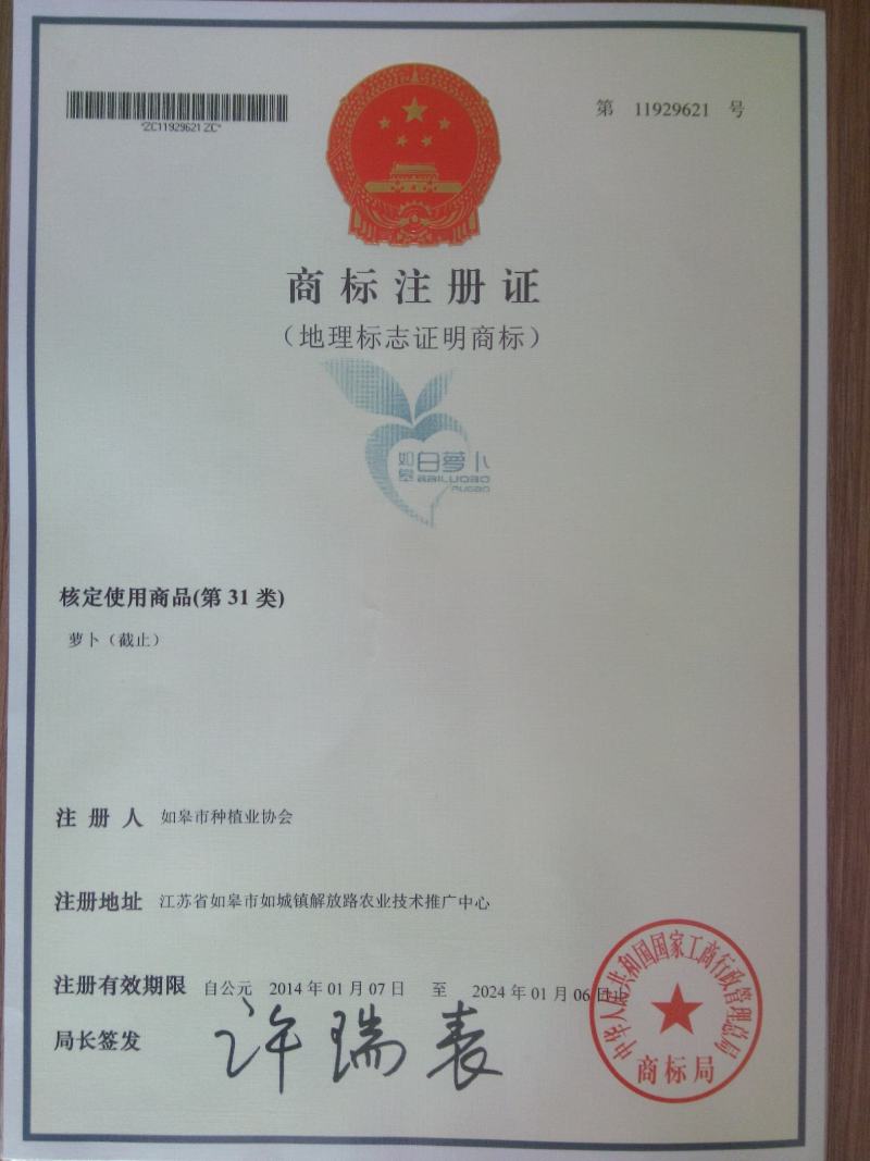 如皋圆白萝卜产地直销，大量供应！随行就市