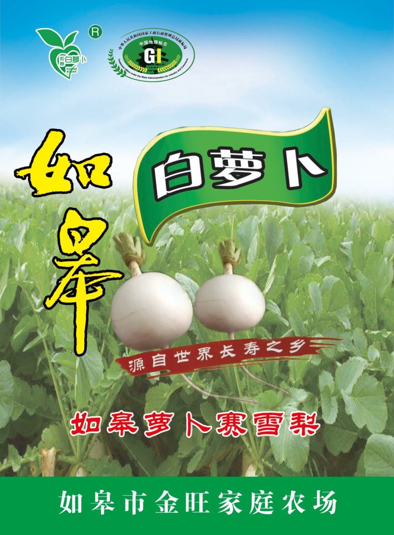 如皋圆白萝卜产地直销，大量供应！随行就市