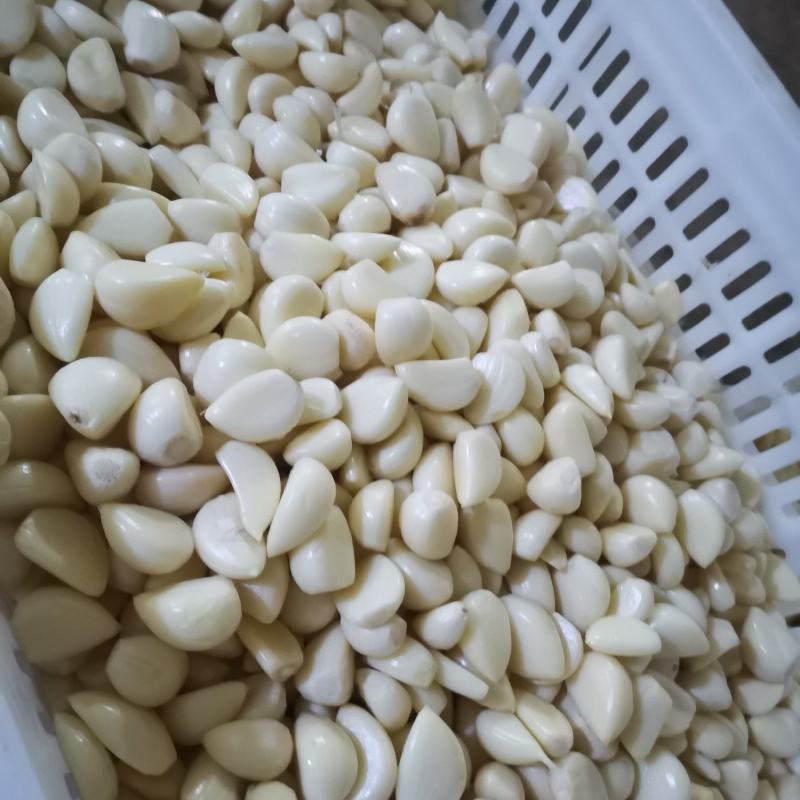 2026年新鲜蒜米蒜肉工厂做蒜泥蒜酱蒜蓉蒜添加