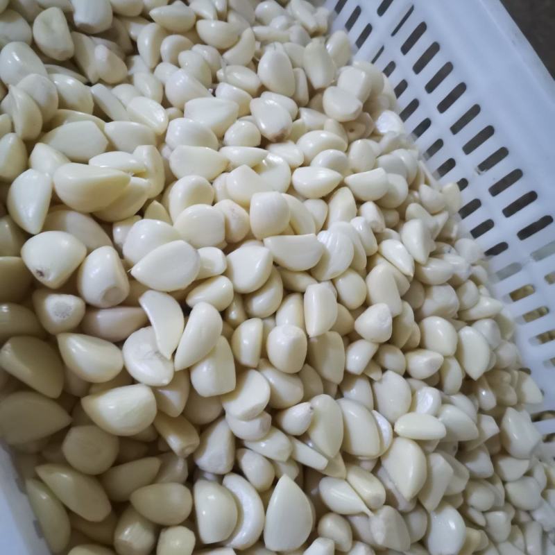 2026年新鲜蒜米蒜肉工厂做蒜泥蒜酱蒜蓉蒜添加