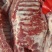 纯粮食瓜果蔬菜喂养