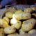 安丘市精品黄芯鲜土豆大量上市，面积大质量好。欢迎来购。