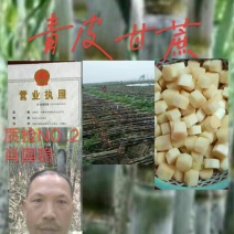 青皮甘蔗仙桃市一屋嘴甘蔗种植合作社，办理买货，找车，装货