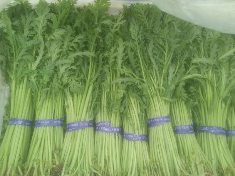光杆茼蒿、大棚茼蒿、小把一斤左右、长期有货