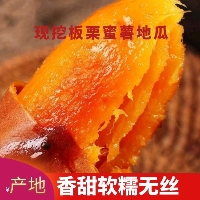 热销山东红薯板栗薯皮毛好口感甜块型好货源充足稳定可视频