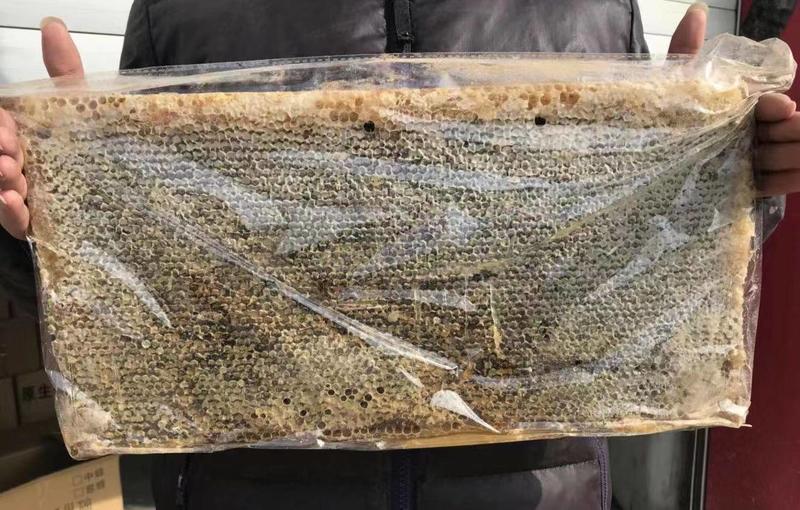 蜂巢蜜老蜜脾封盖率好纯蜂蜜产亍秦岭群山之中支持批发零售。