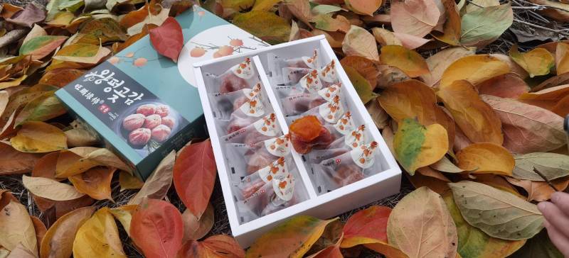 桂林糖心柿子饼，2023新款，有食品生产许可证一级货