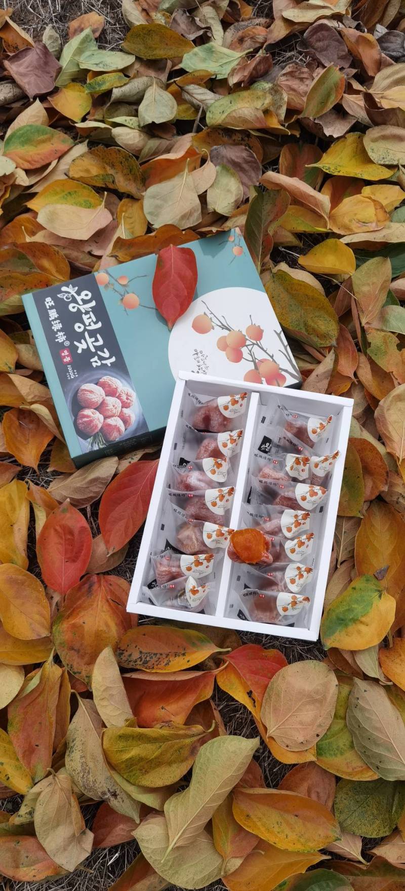 桂林糖心柿子饼，2023新款，有食品生产许可证一级货