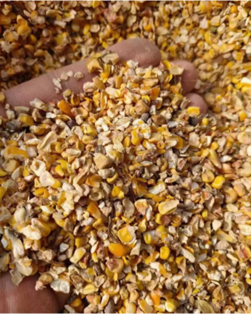 碎玉米，次玉米，玉米下脚料，鸡鸭鹅饲料，常年大量供应