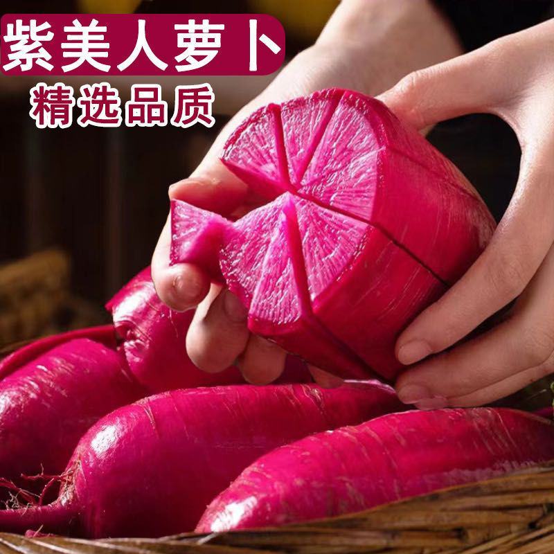 潍坊沙窝紫美人凤梨萝卜大量现货支持电商一件代发批发