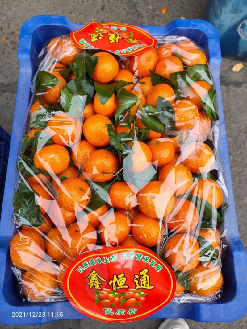 精品广西荔浦砂糖橘皮毛光亮口感包甜无渣无核保质量