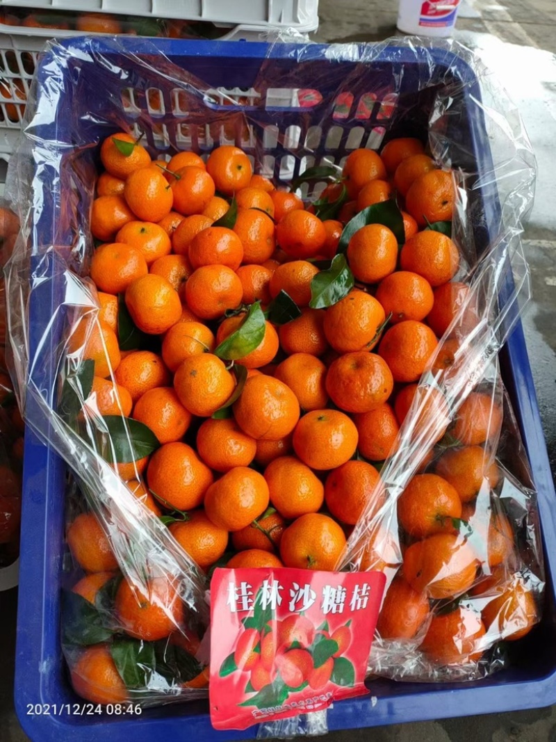 精品广西荔浦砂糖橘皮毛光亮口感包甜无渣无核保质量